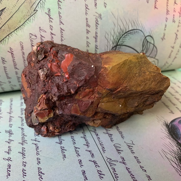 Beautiful piece of Petrified Redwood tree mineral stone display specimen - Picture 9 of 11